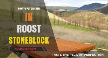 Mastering Chicken Roost Placement in Stoneblock: A Step-by-Step Guide