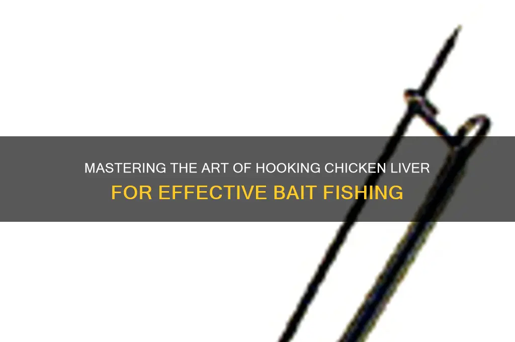 how to put chicken liver on hook