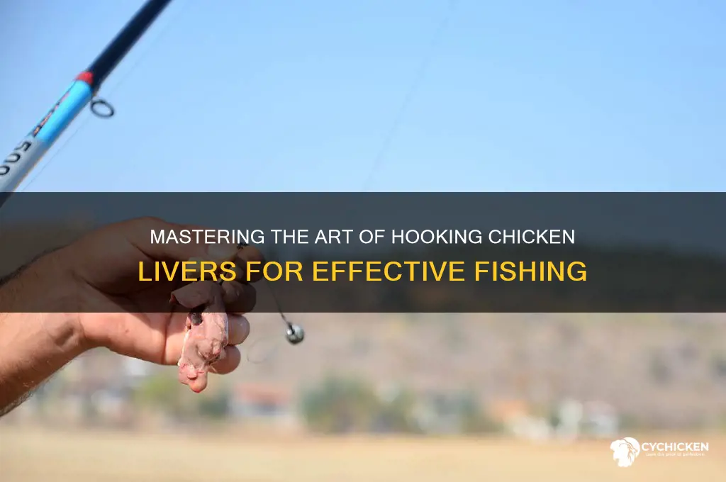 how to put chicken livers on a hook