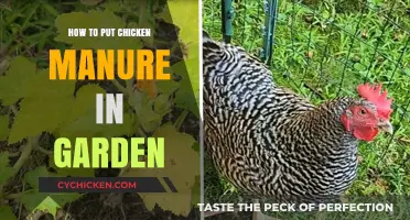 Boost Your Garden's Growth: Using Chicken Manure Effectively and Safely