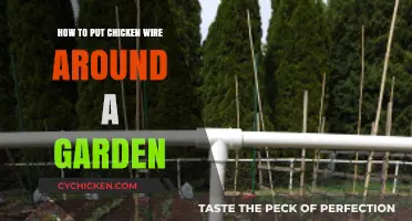 Secure Your Garden: Easy Steps to Install Chicken Wire Fencing