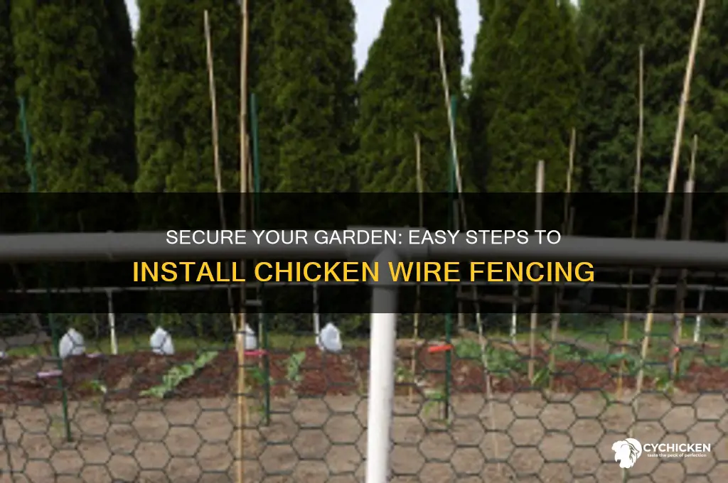 how to put chicken wire around a garden