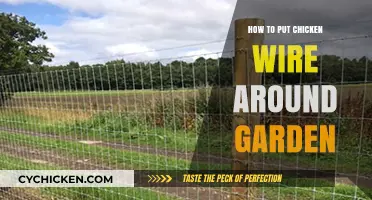 Secure Your Garden: Easy Steps to Install Chicken Wire Fencing