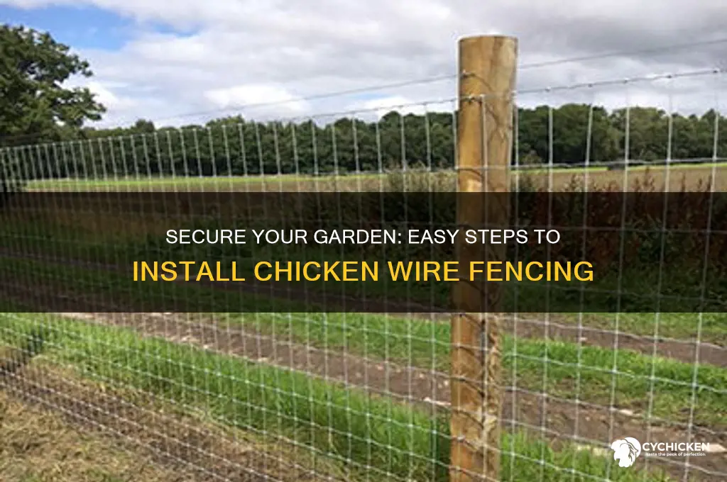 how to put chicken wire around garden