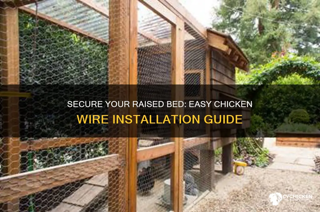 how to put chicken wire around raised bed