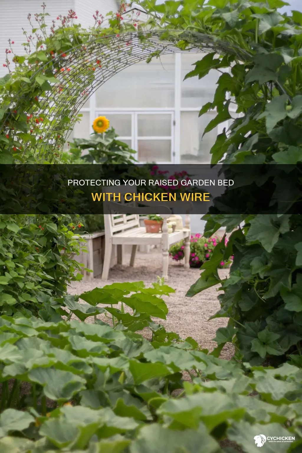 how to put chicken wire around raised garden bed