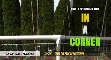 Mastering Corner Installation: A Guide to Placing Chicken Wire