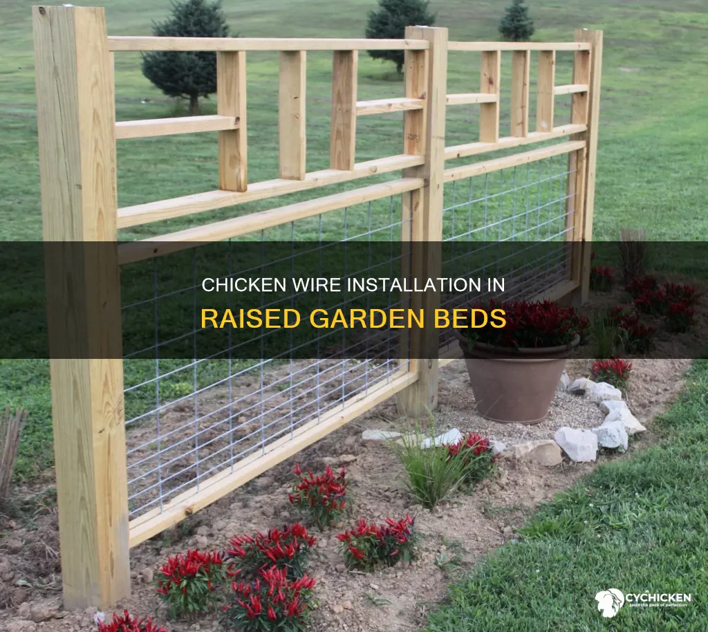 how to put chicken wire in a raised garden box