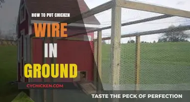 Easy Steps to Install Chicken Wire Underground for Garden Protection