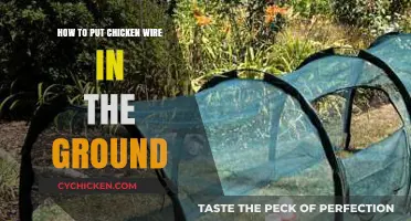 Secure Your Garden: Easy Steps to Install Chicken Wire Underground