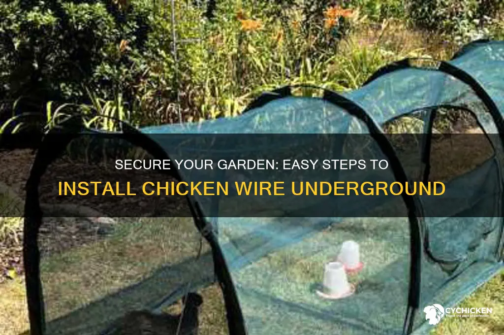 how to put chicken wire in the ground