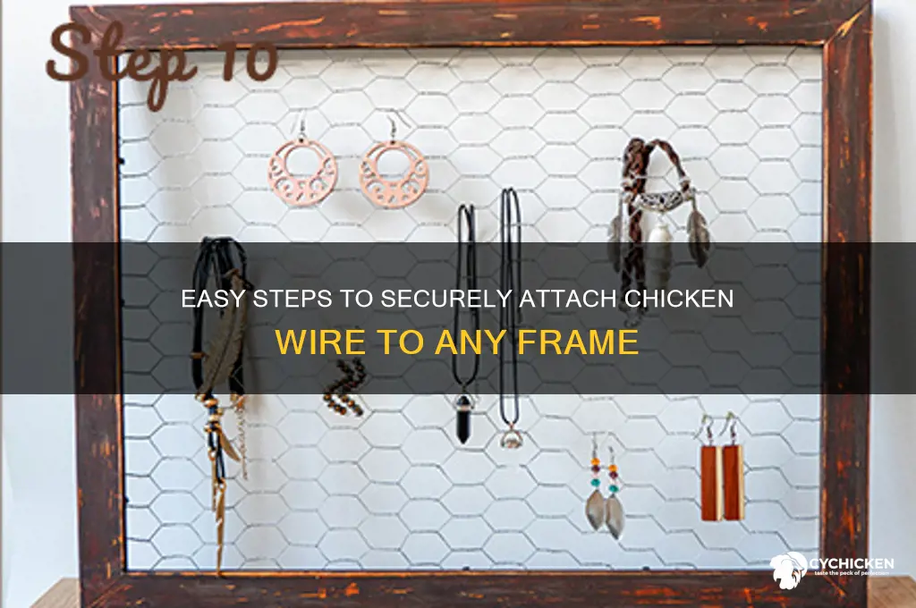 how to put chicken wire on a frame