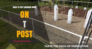 Easy Guide: Installing Chicken Wire on T-Posts for Secure Fencing