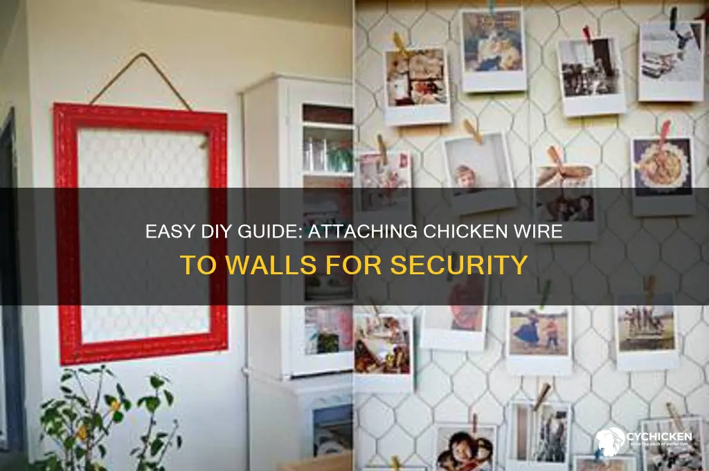 how to put chicken wire on wall