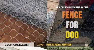 Securing Your Fence: Adding Chicken Wire for Dogs