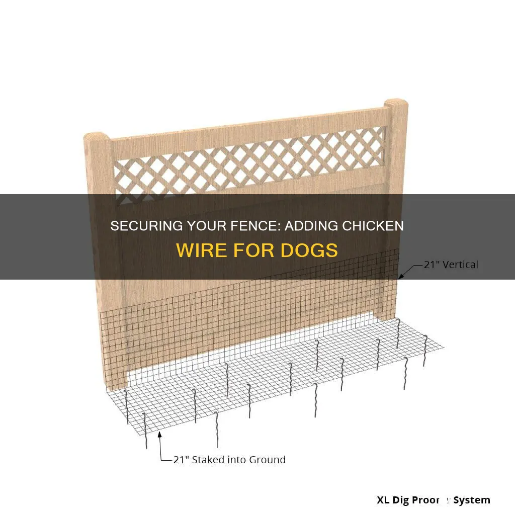 how to put chicken wire on your fence for dog