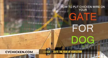 Securing Your Gate: Chicken Wire Installation for Dogs