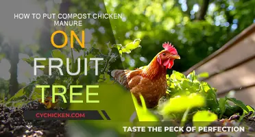 Enrich Fruit Trees: Chicken Manure Compost Application