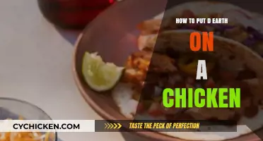Creative Tips for Adding Earth to Your Chicken’s Diet Safely