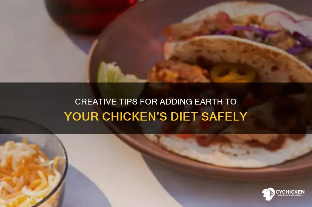 how to put d earth on a chicken