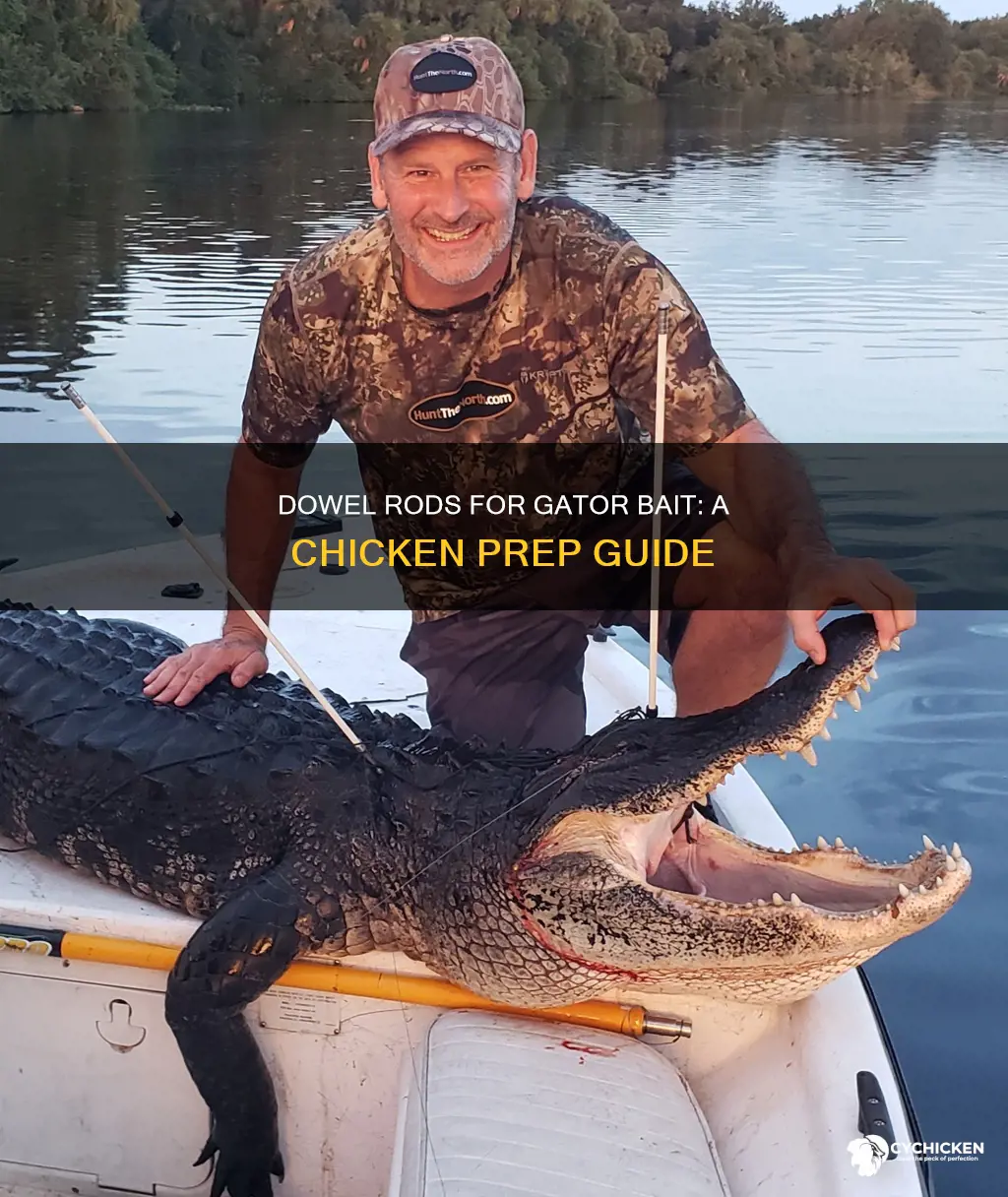 how to put dowel in chicken for gator hunting