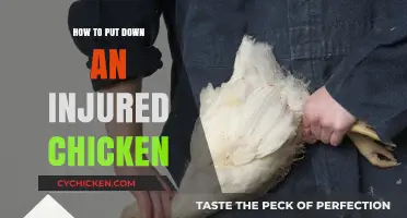 Compassionate Euthanasia: A Guide to Humanely Ending an Injured Chicken's Suffering