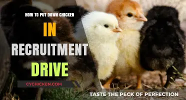 Effective Strategies for Conducting Chicken Culling in Recruitment Campaigns