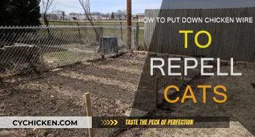 Protecting Your Garden: Chicken Wire to Repel Cats