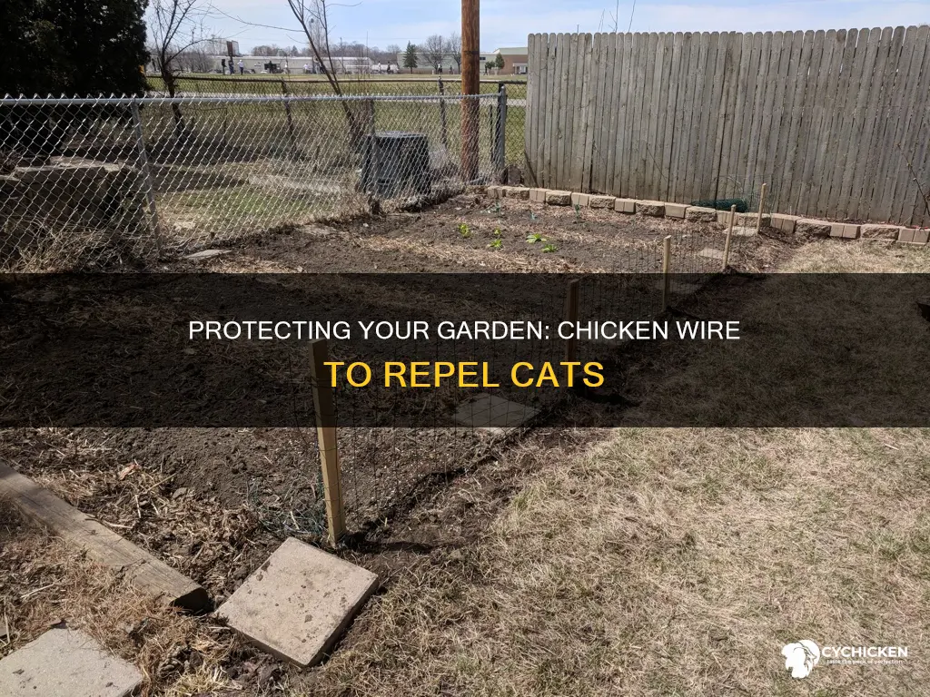 how to put down chicken wire to repell cats