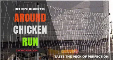 Secure Your Chicken Run: A Step-by-Step Guide to Installing Electric Wire
