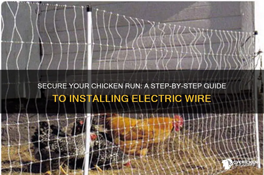 how to put electric wire around chicken run