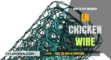 Creative Ways to Add Greenery Using Chicken Wire in Your Garden