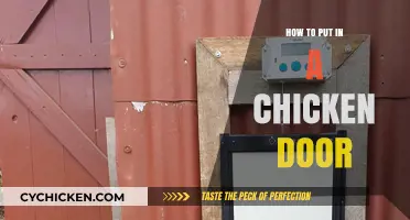 Easy Steps to Install a Chicken Door for Your Coop