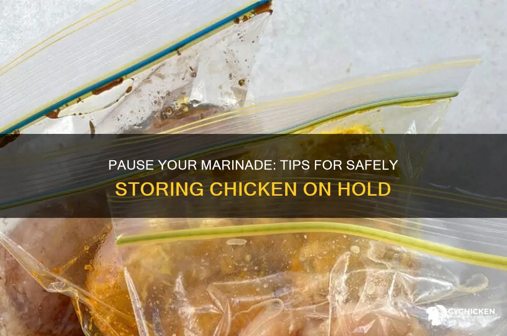 how to put marinaded chicken on hold