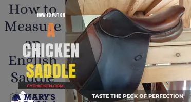 Easy Guide to Safely Putting on a Chicken Saddle for Feather Protection