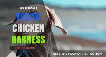 Easy Steps to Safely Put On a Yesito Chicken Harness