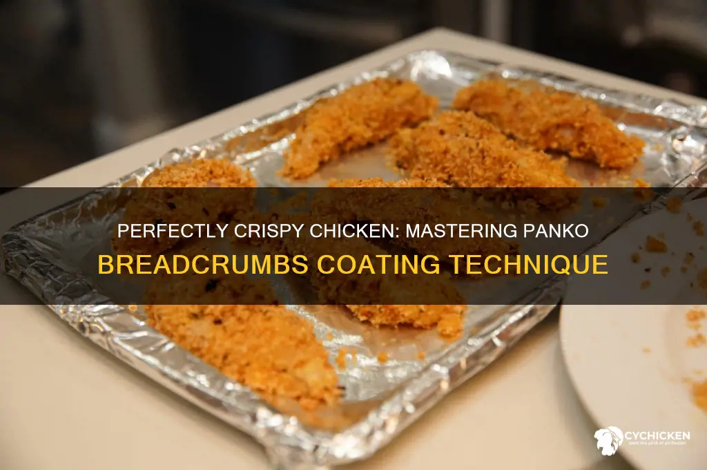 how to put panko breadcrumbs on chicken