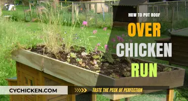 Building a Roof Over Your Chicken Run: A Step-by-Step Guide