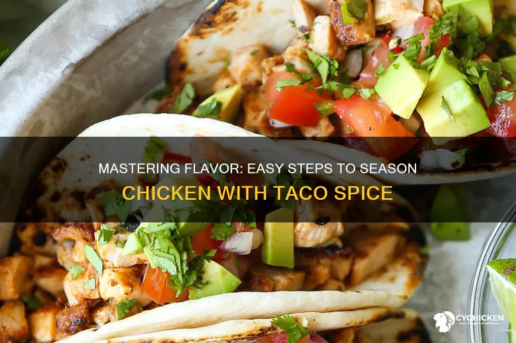 how to put taco seasoning on chicken