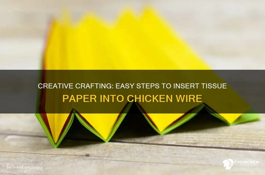 how to put tissue paper in chicken wire