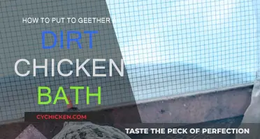 Creating a Dirt Chicken Bath: Easy Steps