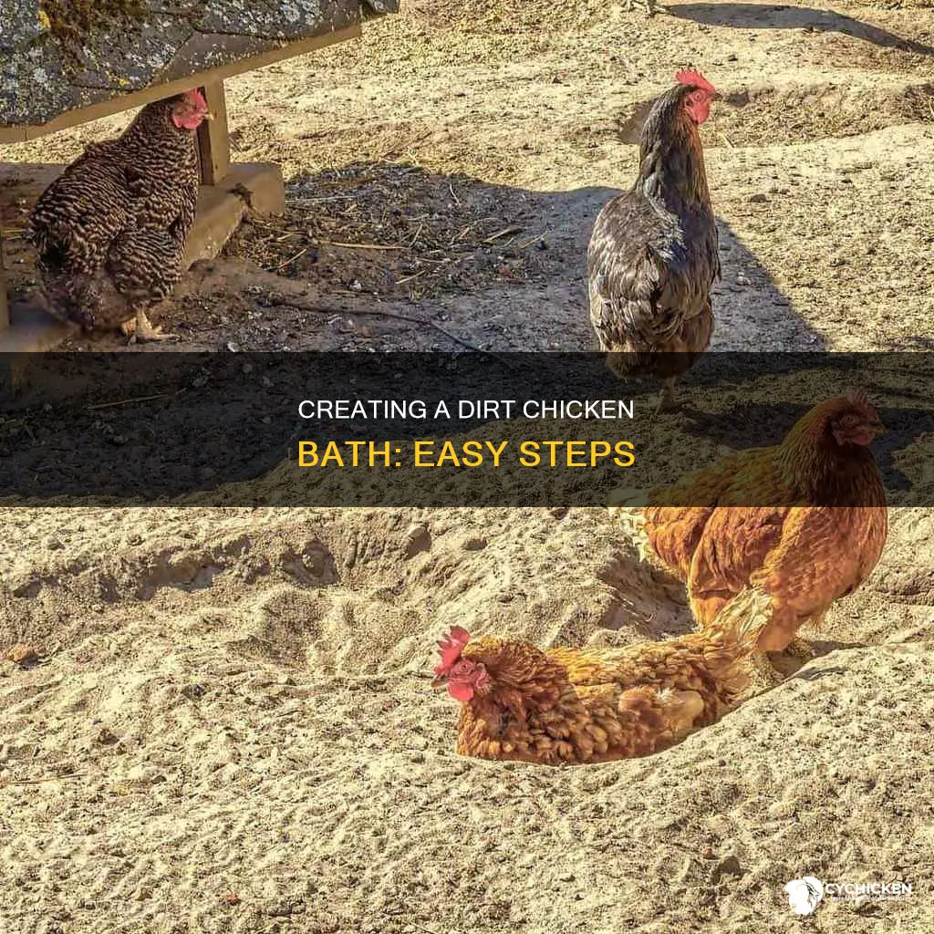 how to put to geether a dirt chicken bath