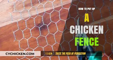 Easy Steps to Build a Secure Chicken Fence for Your Flock