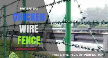 Easy Steps to Install a Chicken Wire Fence for Your Yard