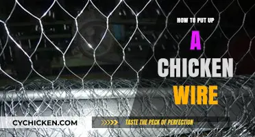 Easy Steps to Install Chicken Wire for Secure Fencing and Protection