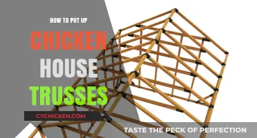 Step-by-Step Guide to Installing Chicken House Trusses Easily