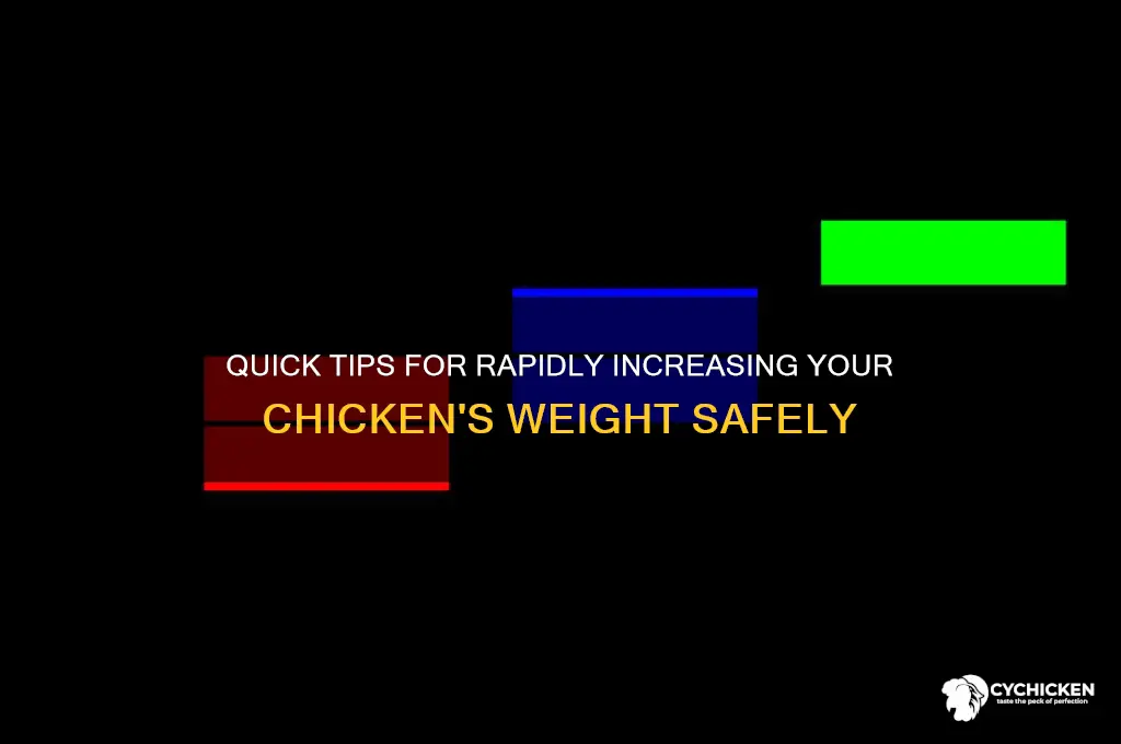 how to put weight on a chicken fast
