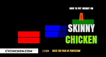 Helping Skinny Chickens Gain Weight: Effective Tips for Healthy Growth