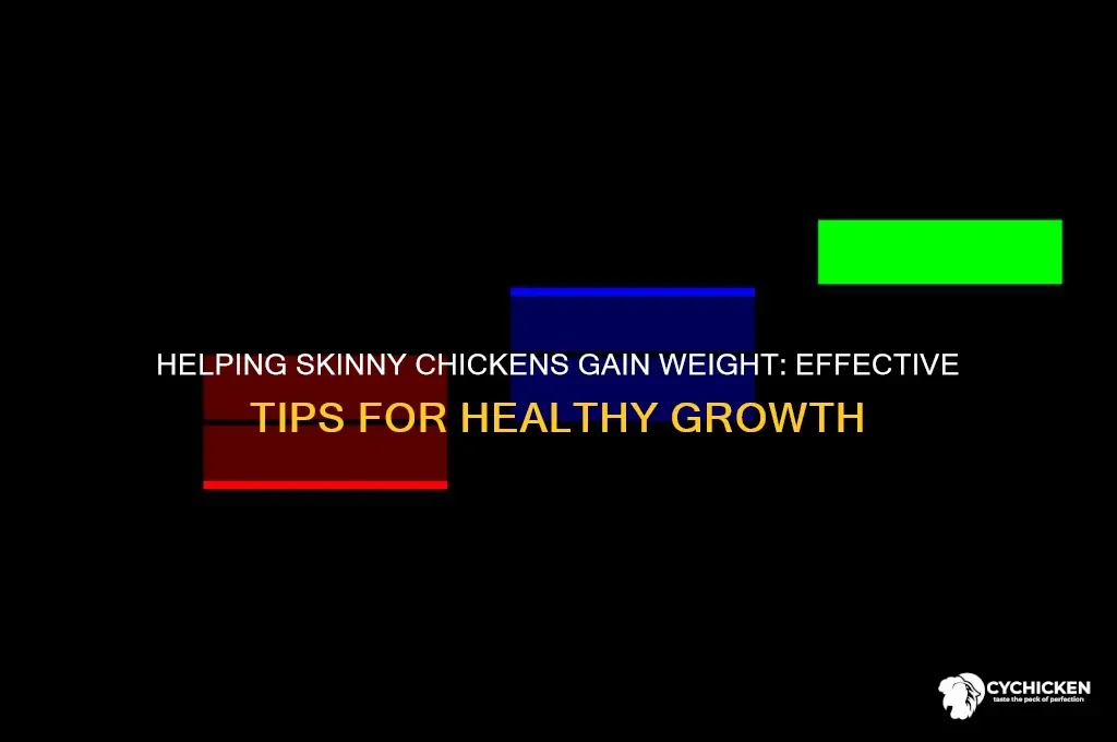 how to put weight on a skinny chicken