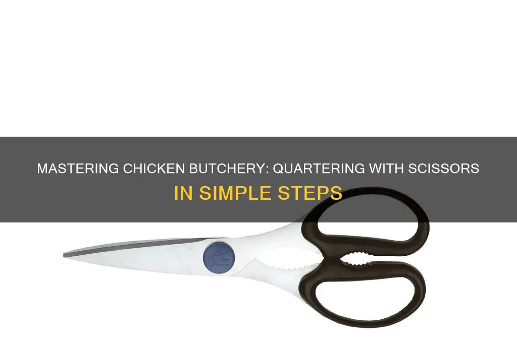 how to quarter a chicken with scissors